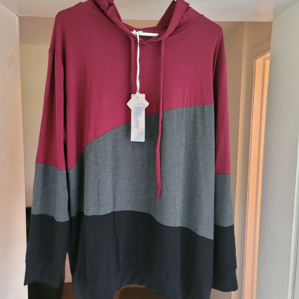 Hoodie Long Sleeve (Light)